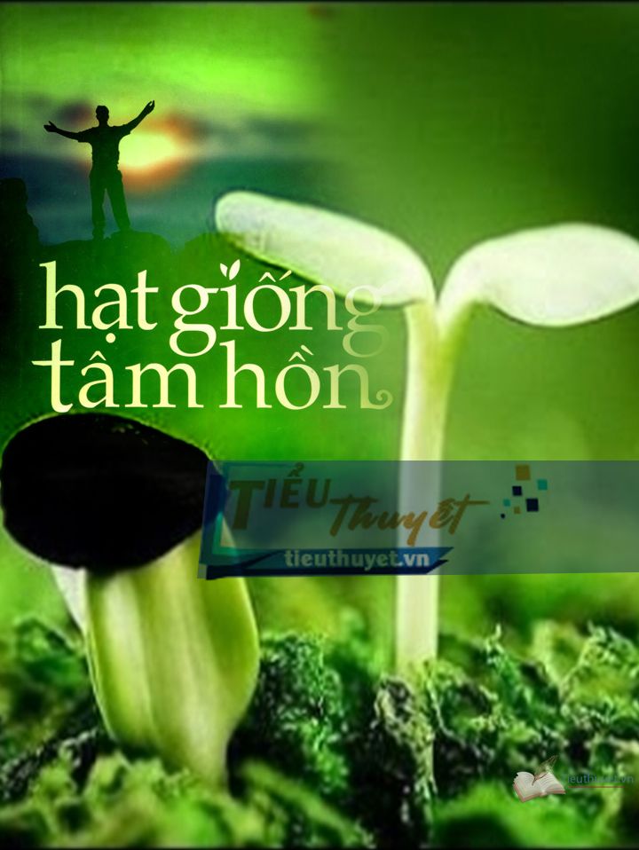 Hạt Giống Tâm Hồn